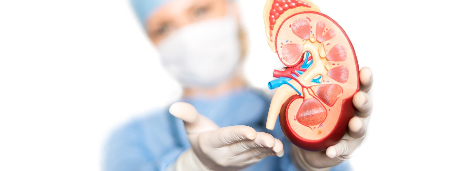 23433226262249026177urology banner
